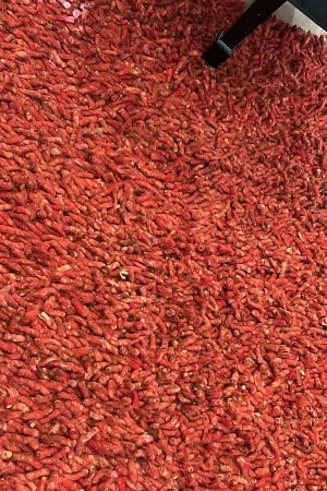Kashan Area Rug Cleaning & Repair Service area rug cleaning in Santa Ana